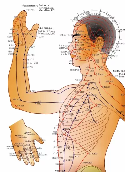 acupuncture-chart-1-e1393354970212-2