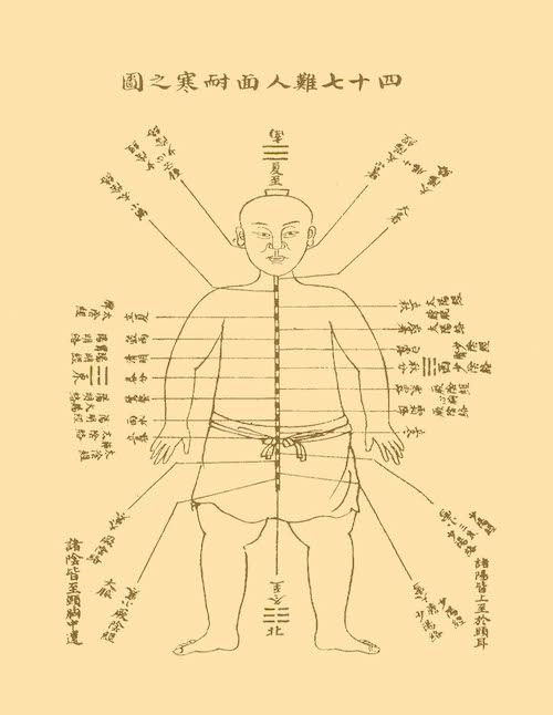 Nanjing classical acupuncture